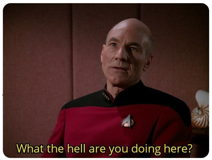 This meme features a screenshot from the TV show Star Trek: The Next Generation, where Captain Jean-Luc Picard is responding to a question from his crew. The image shows Picard's face with a skeptical expression, and the text "What the hell are you doing here?" appears below his face. The meme is a humorous way to express frustration or confusion at an unexpected situation.